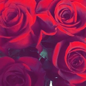 Meet your Posher, Danielle